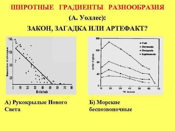 ШИРОТНЫЕ ГРАДИЕНТЫ РАЗНООБРАЗИЯ (А. Уоллес): ЗАКОН, ЗАГАДКА ИЛИ АРТЕФАКТ? А) Рукокрылые Нового Света Б)