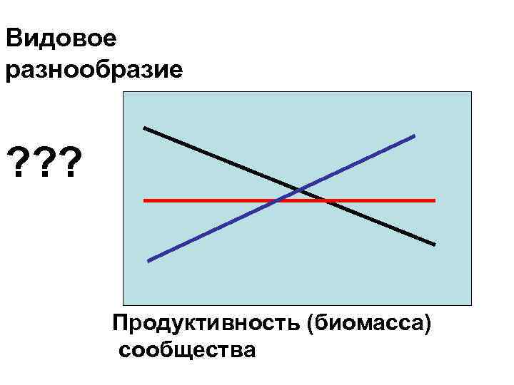 Видовое разнообразие ? ? ? Продуктивность (биомасса) сообщества 