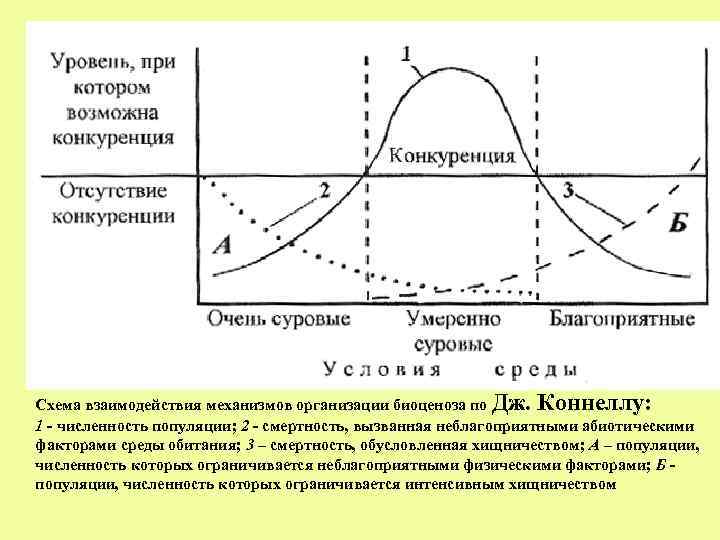 Схема взаимодействия механизмов организации биоценоза по Дж. Коннеллу: 1 - численность популяции; 2 -