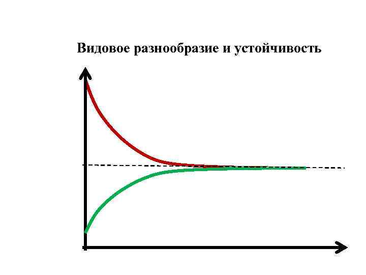 Видовое разнообразие и устойчивость 