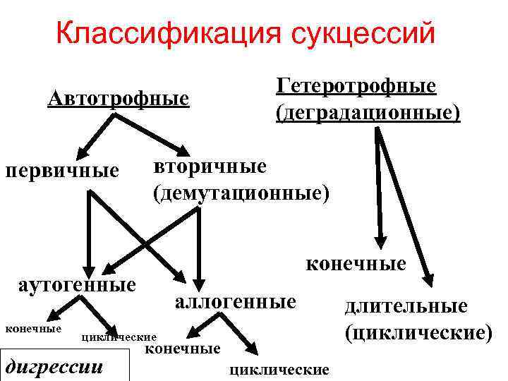 Классификация сукцессий Автотрофные первичные вторичные (демутационные) конечные аутогенные конечные Гетеротрофные (деградационные) аллогенные циклические дигрессии