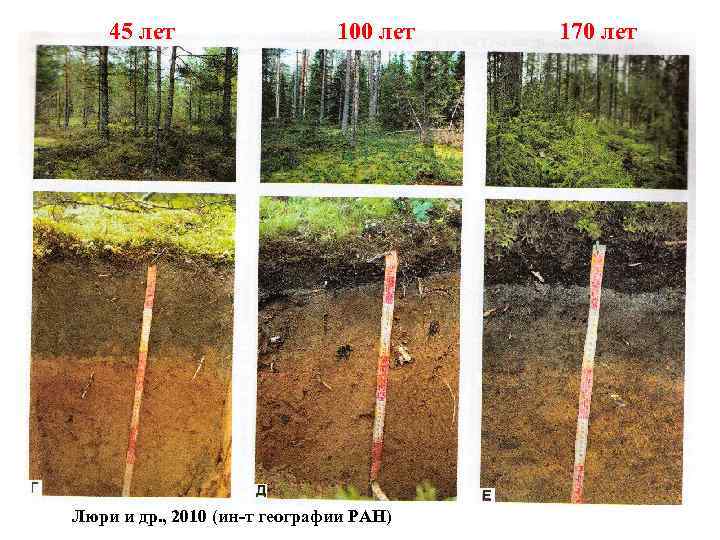 45 лет 100 лет Люри и др. , 2010 (ин-т географии РАН) 170 лет