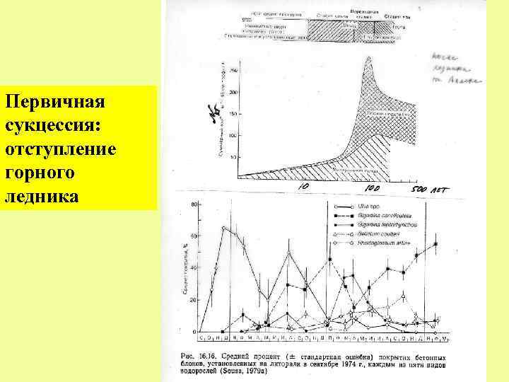 Первичная сукцессия: отступление горного ледника 