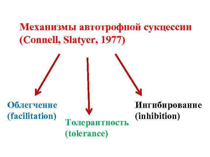 Механизмы автотрофной cукцессии (Connell, Slatyer, 1977) Облегчение (facilitation) Толерантность (tolerance) Ингибирование (inhibition) 