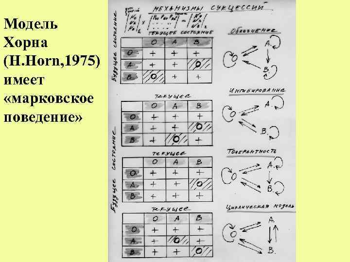 Модель Хорна (Н. Horn, 1975) имеет «марковское поведение» 