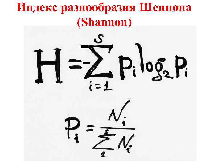 Индекс разнообразия Шеннона (Shannon) 