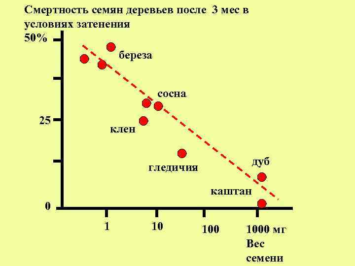 Смертность семян деревьев после 3 мес в условиях затенения 50% береза сосна 25 клен