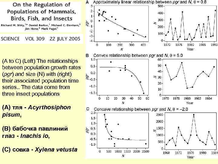 (A to C) (Left) The relationships between population growth rates (pgr) and size (N)