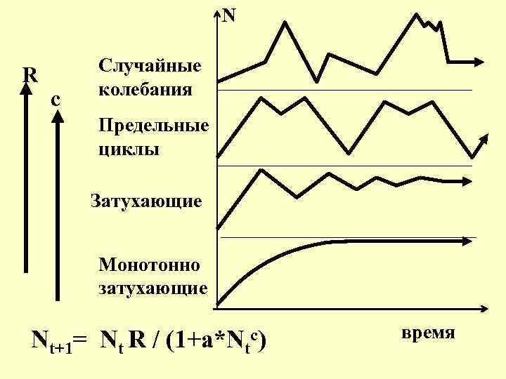 Случайные колебания. Произвольные колебания. Случайные колебания автомобиля. Случайные флуктуации.