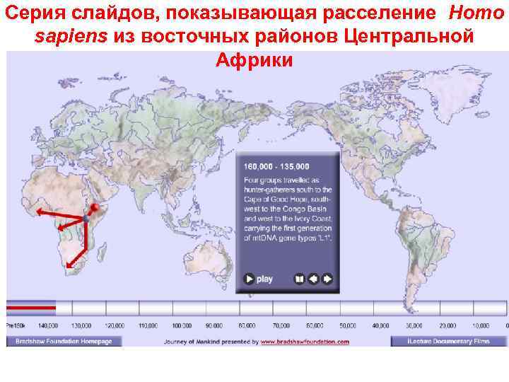 Серия слайдов, показывающая расселение Homo sapiens из восточных районов Центральной Африки 