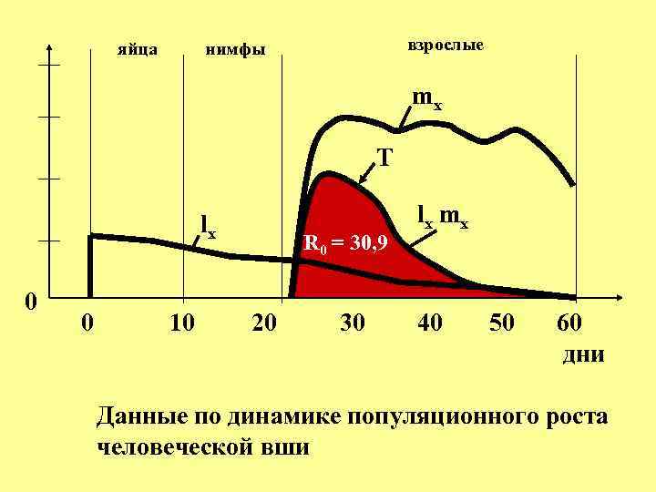 яйца взрослые нимфы mx Т lx 0 0 10 R 0 = 30, 9