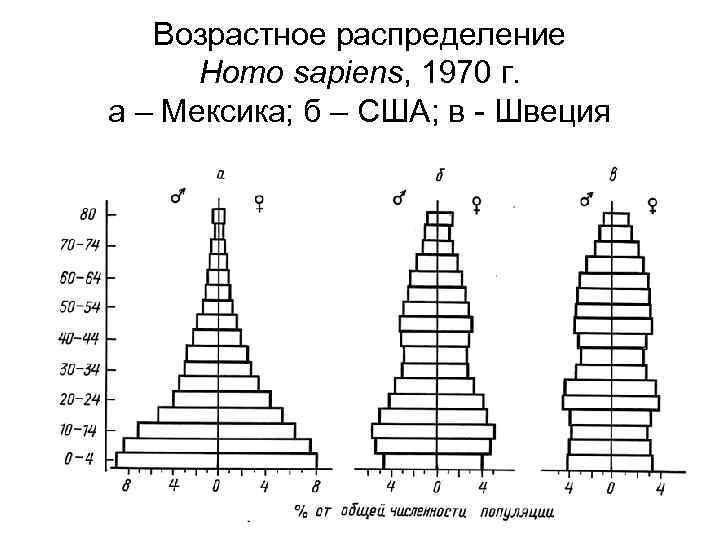 Возрастная структура популяции схема