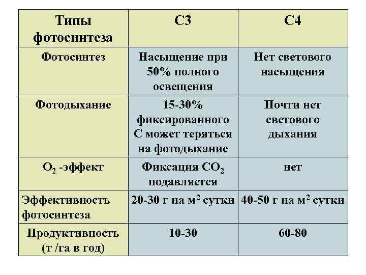 Типы фотосинтеза С 3 С 4 Фотосинтез Насыщение при 50% полного освещения Нет светового