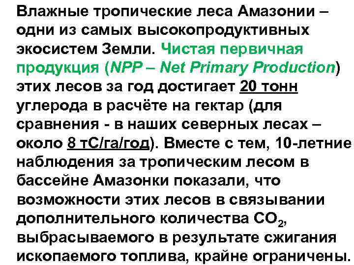 Влажные тропические леса Амазонии – одни из самых высокопродуктивных экосистем Земли. Чистая первичная продукция