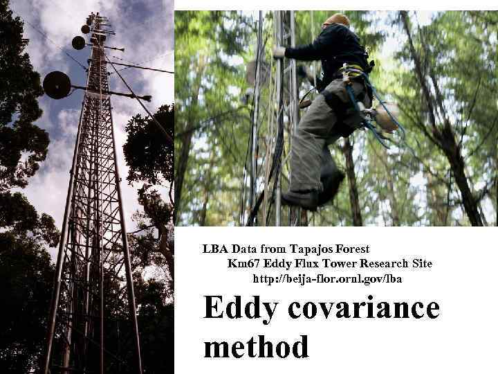 LBA Data from Tapajos Forest Km 67 Eddy Flux Tower Research Site http: //beija-flor.