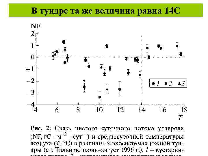 В тундре та же величина равна 14 С 