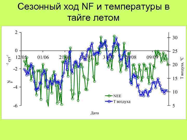 Сезонный ход NF и температуры в тайге летом 