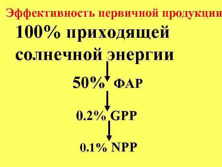 Эффективность первичной продукции 100% приходящей солнечной энергии 50% ФАР 0. 2% GPP 0. 1%