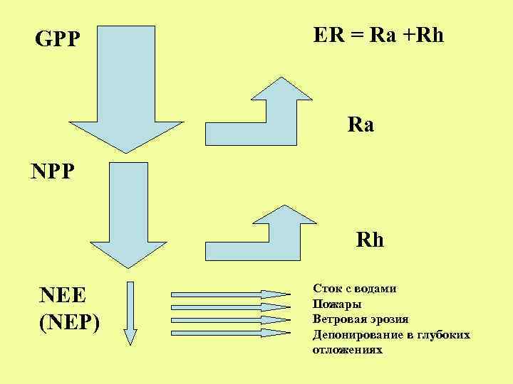 GPP ER = Ra +Rh Ra NPP Rh NEE (NEP) Сток с водами Пожары