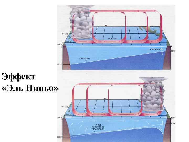 Эффект «Эль Ниньо» 