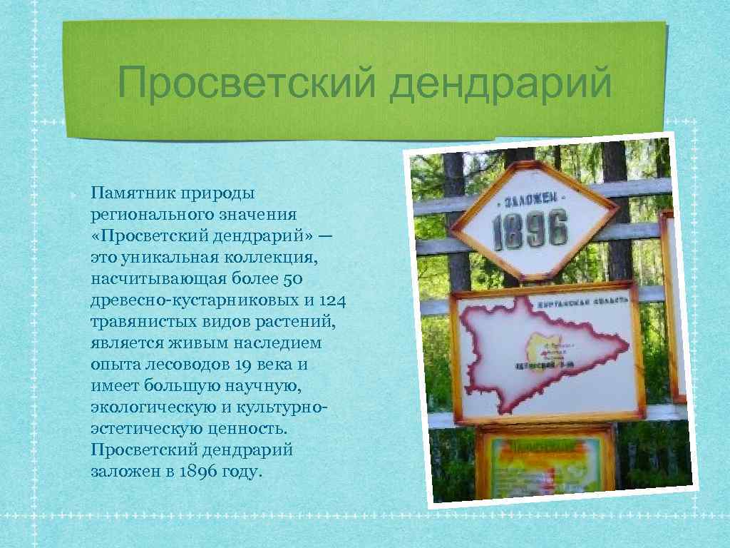 Просветский дендрарий Памятник природы регионального значения «Просветский дендрарий» — это уникальная коллекция, насчитывающая более