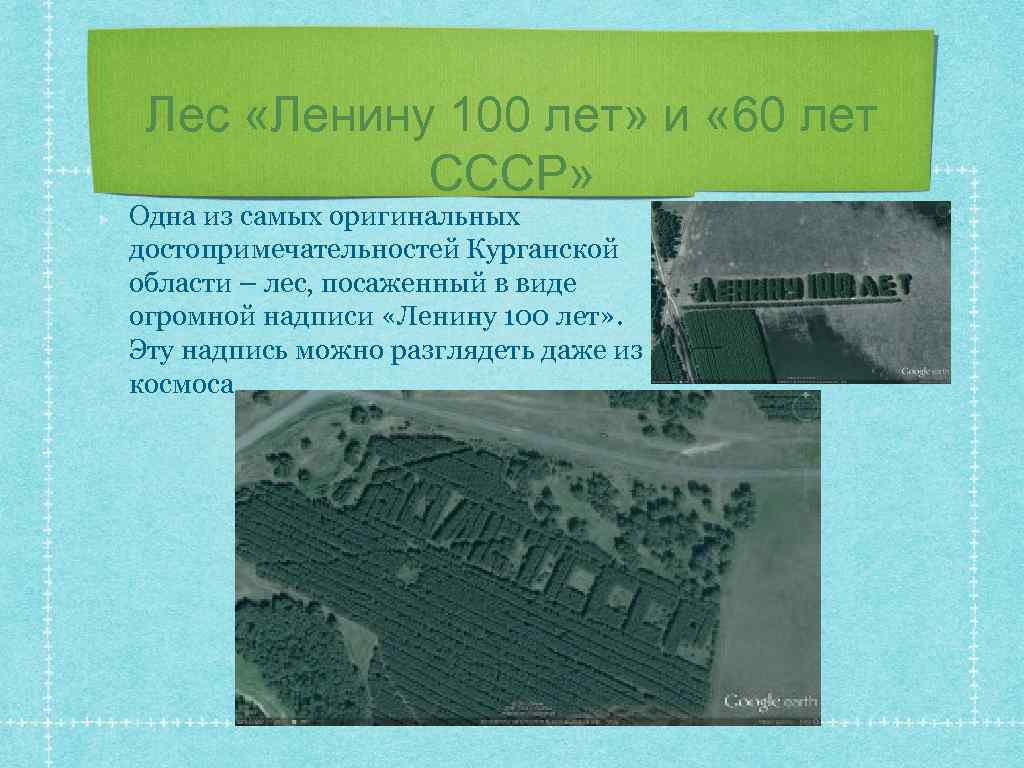 Лес «Ленину 100 лет» и « 60 лет СССР» Одна из самых оригинальных достопримечательностей