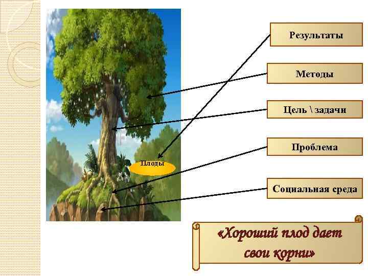 Результаты Методы Цель  задачи Проблема Плоды Социальная среда «Хороший плод дает свои корни»