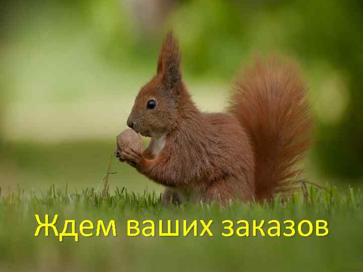 Ждем ваших заказов 