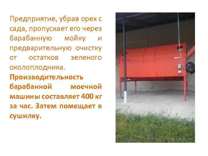 Предприятие, убрав орех с сада, пропускает его через барабанную мойку и предварительную очистку от