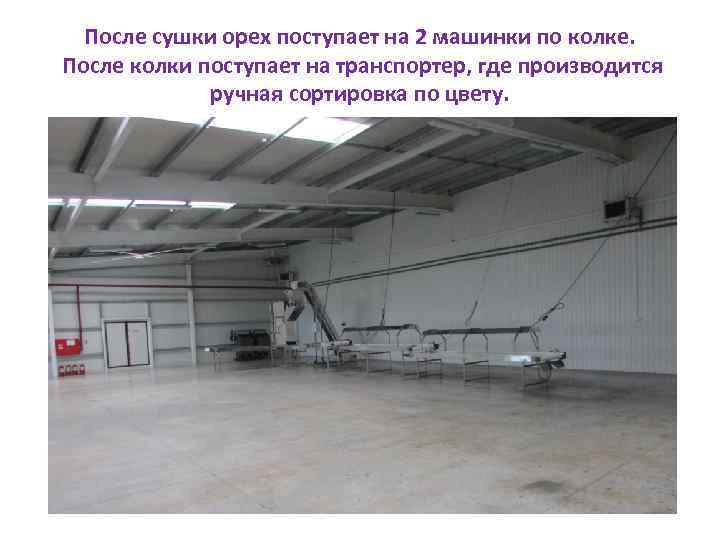После сушки орех поступает на 2 машинки по колке. После колки поступает на транспортер,