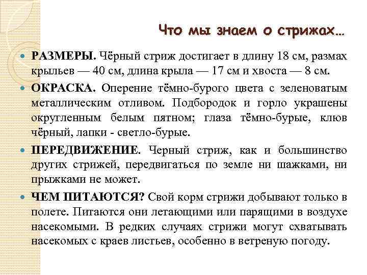 Что мы знаем о стрижах… РАЗМЕРЫ. Чёрный стриж достигает в длину 18 см, размах