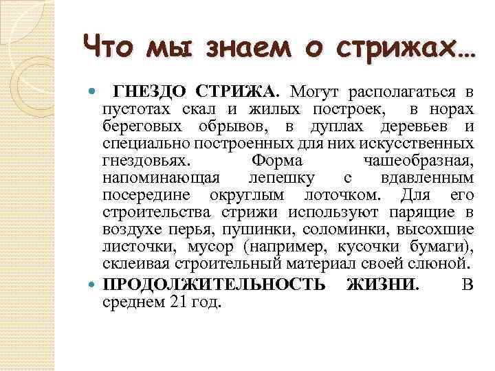 Что мы знаем о стрижах… ГНЕЗДО СТРИЖА. Могут располагаться в пустотах скал и жилых