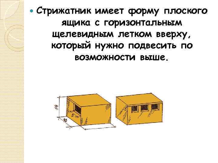  Стрижатник имеет форму плоского ящика с горизонтальным щелевидным летком вверху, который нужно подвесить