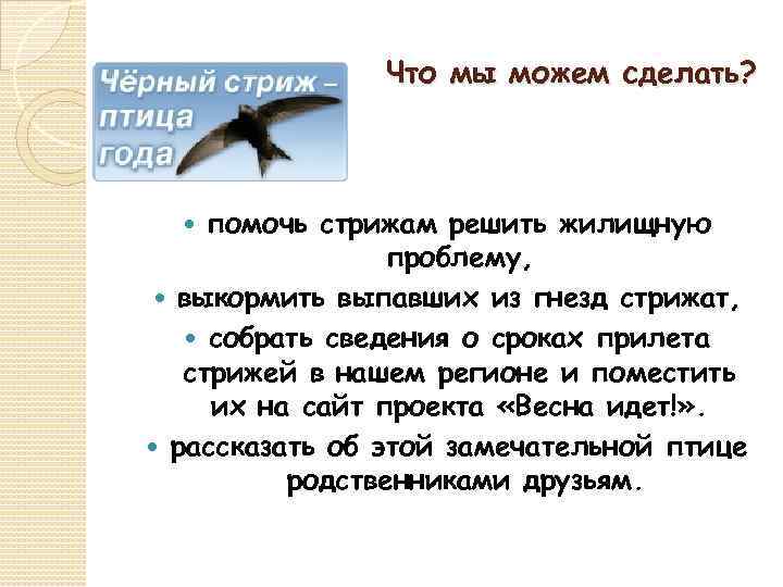 Что мы можем сделать? помочь стрижам решить жилищную проблему, выкормить выпавших из гнезд стрижат,
