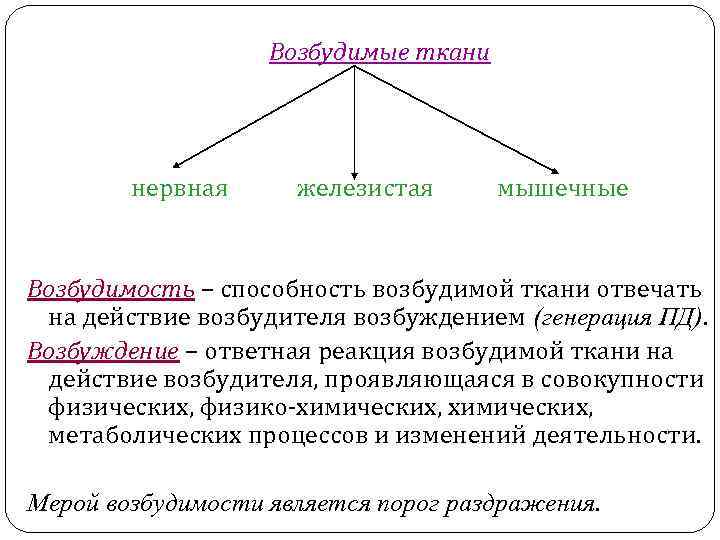 Возбудимые ткани нервная железистая мышечные Возбудимость – способность возбудимой ткани отвечать на действие возбудителя