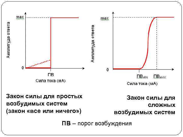 Закон силы