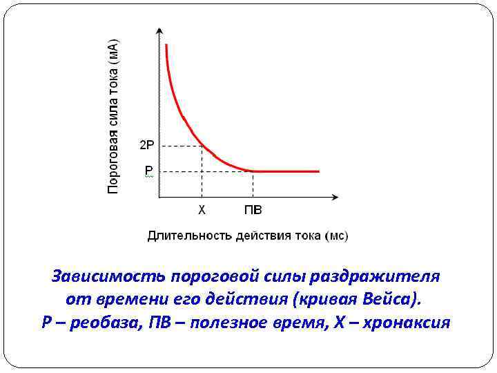 Зависимость пороговой силы раздражителя от времени его действия (кривая Вейса). Р – реобаза, ПВ
