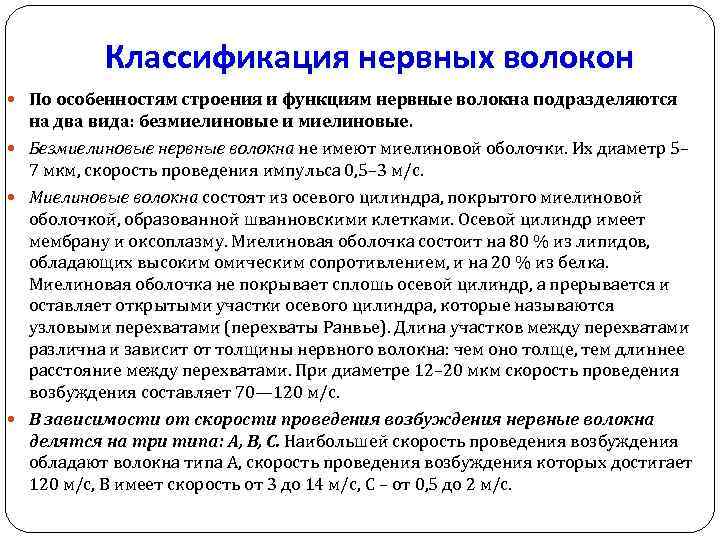 Классификация нервных волокон По особенностям строения и функциям нервные волокна подразделяются на два вида: