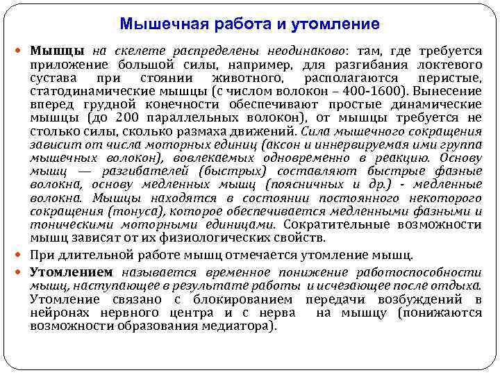 Мышечная работа и утомление Мышцы на скелете распределены неодинаково: там, где требуется приложение большой