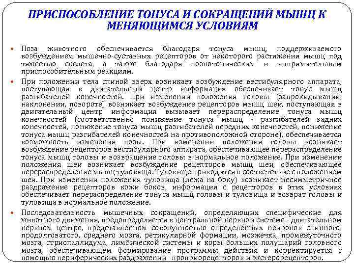 ПРИСПОСОБЛЕНИЕ ТОНУСА И СОКРАЩЕНИЙ МЫШЦ К МЕНЯЮЩИМСЯ УСЛОВИЯМ Поза животного обеспечивается благодаря тонуса мышц,