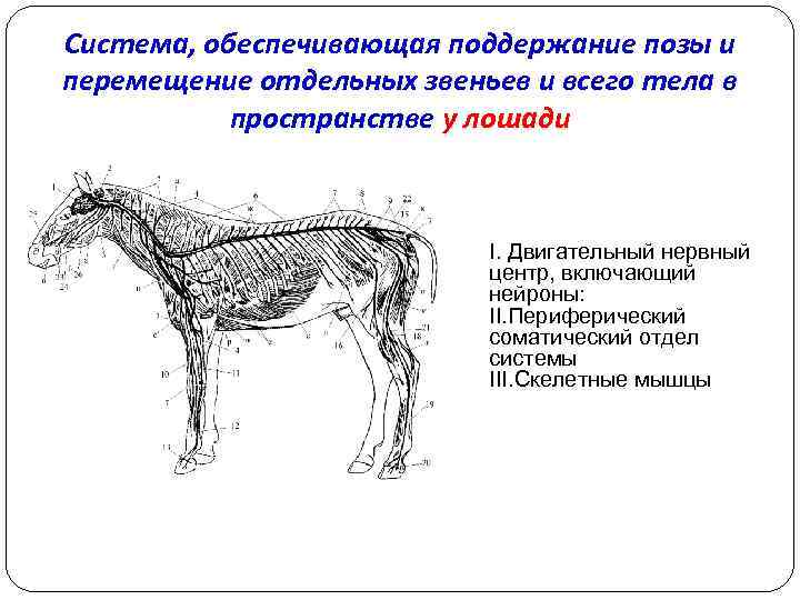 Какая система обеспечивает