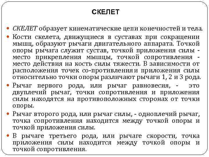 СКЕЛЕТ образует кинематические цепи конечностей и тела. Кости скелета, движущиеся в суставах при сокращении