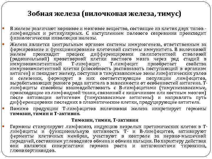 Зобная железа (вилочковая железа, тимус) В железе различают корковое и мозговое вещество, состоящее из