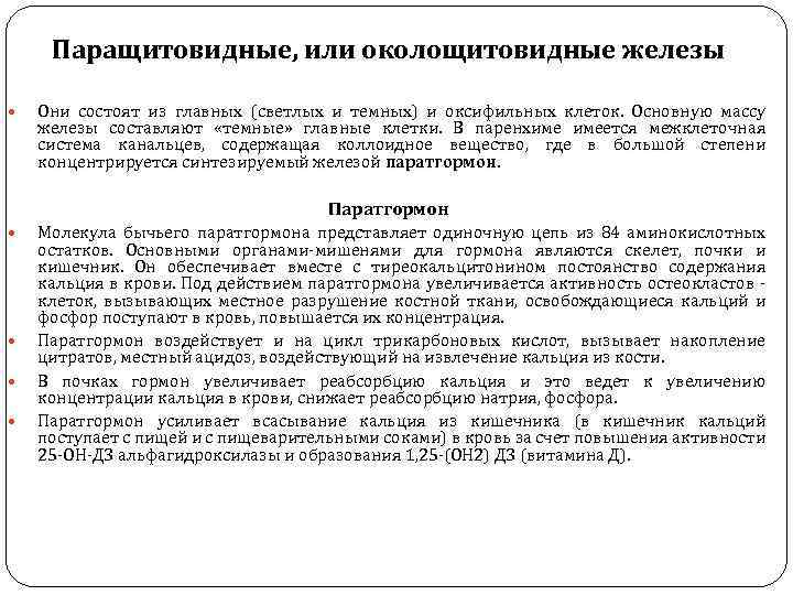 Паращитовидные, или околощитовидные железы Они состоят из главных (светлых и темных) и оксифильных клеток.