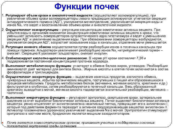 Функции почек 1. Регулируют объем крови и внеклеточной жидкости (осуществляют волюморегуляцию), при увеличении объема