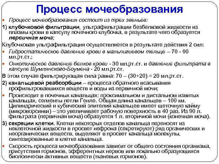 Процесс мочеобразования состоит из трех звеньев: 1) клубочковой фильтрации, ультрафильтрации безбелковой жидкости из плазмы