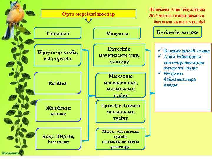 Орта деген не. Жоспар. Орта мерзімді жоспар деген не. Тақырып дегеніміз не. Сабақ жоспары Зоология презентация.