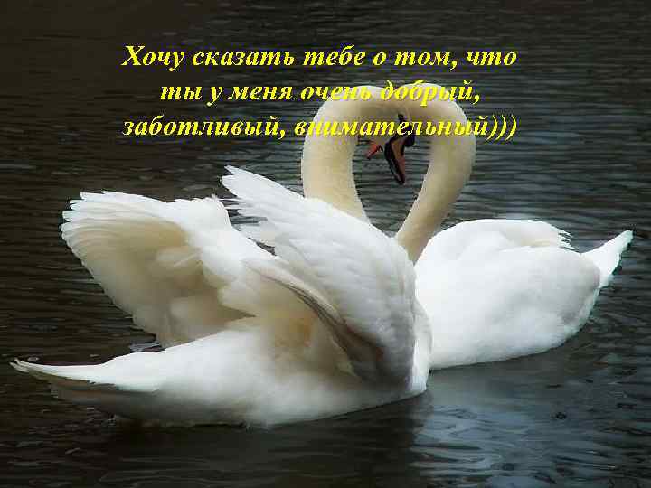 Хочу сказать тебе о том, что ты у меня очень добрый, заботливый, внимательный))) 