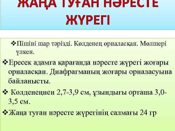 ЖАҢА ТУҒАН НӘРЕСТЕ ЖҮРЕГІ v. Пішіні шар тәрізді. Көлденең орналасқан. Мөлшері үлкен. v. Ересек