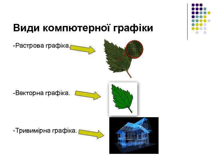 Види компютерної графіки -Растрова графіка. -Векторна графіка. -Тривимірна графіка. 